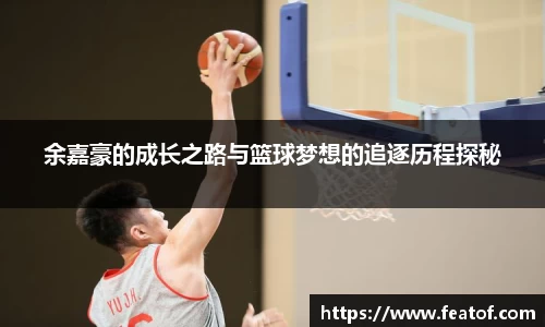  333体育登录注册